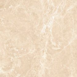 Paradise Crema - Image 4