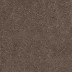 Thar Wood - Image 2