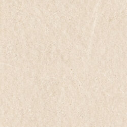 Parker Crema - Image 4