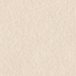 Parker Crema - Image 3